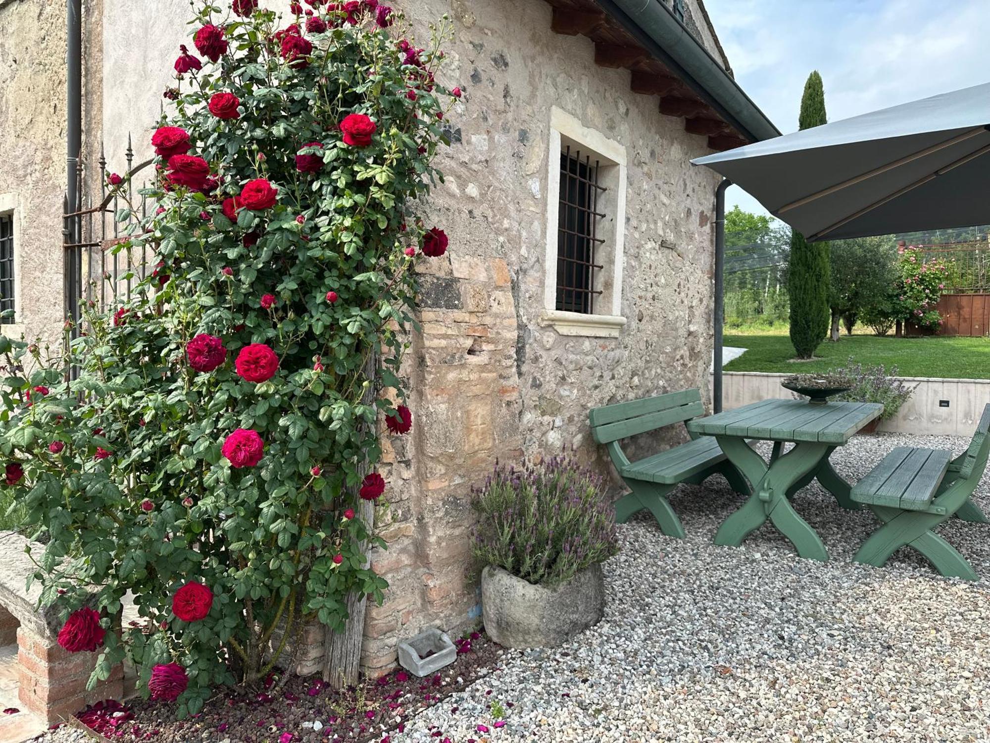 Ca Nova Agriturismo Castellaro  Exterior photo