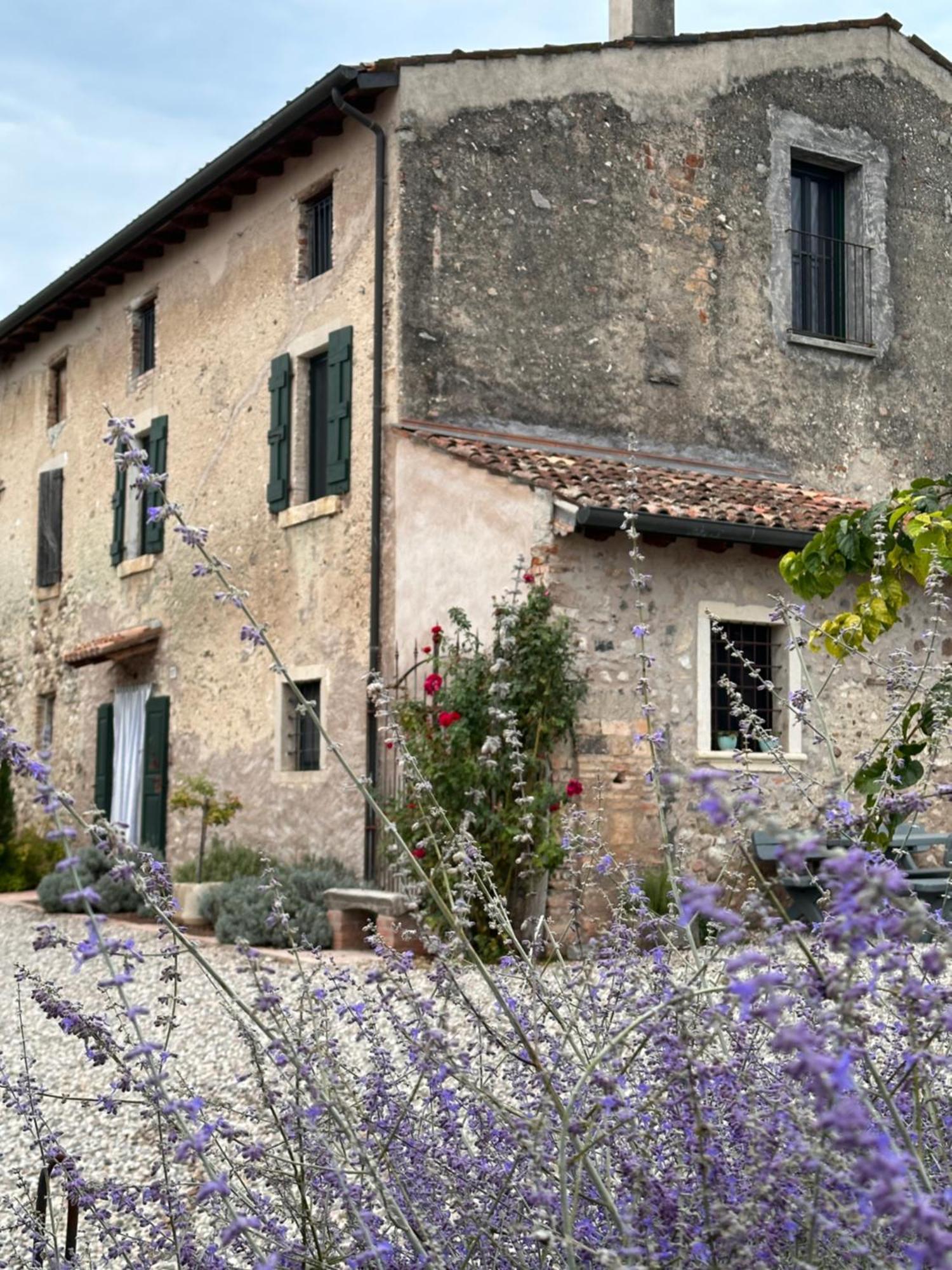 Ca Nova Agriturismo Castellaro  Exterior photo